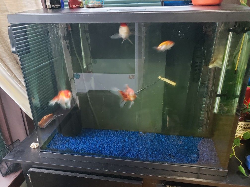 Top Fin 37 Gallon Aquarium With Led Lid And Top Fin Slienstream 40 Gallon Power Filter