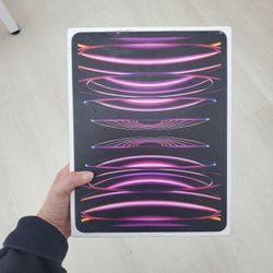 iPad Pro 12.9 (6th Generation with M2 Chip) 2TB Space Gray WiFi