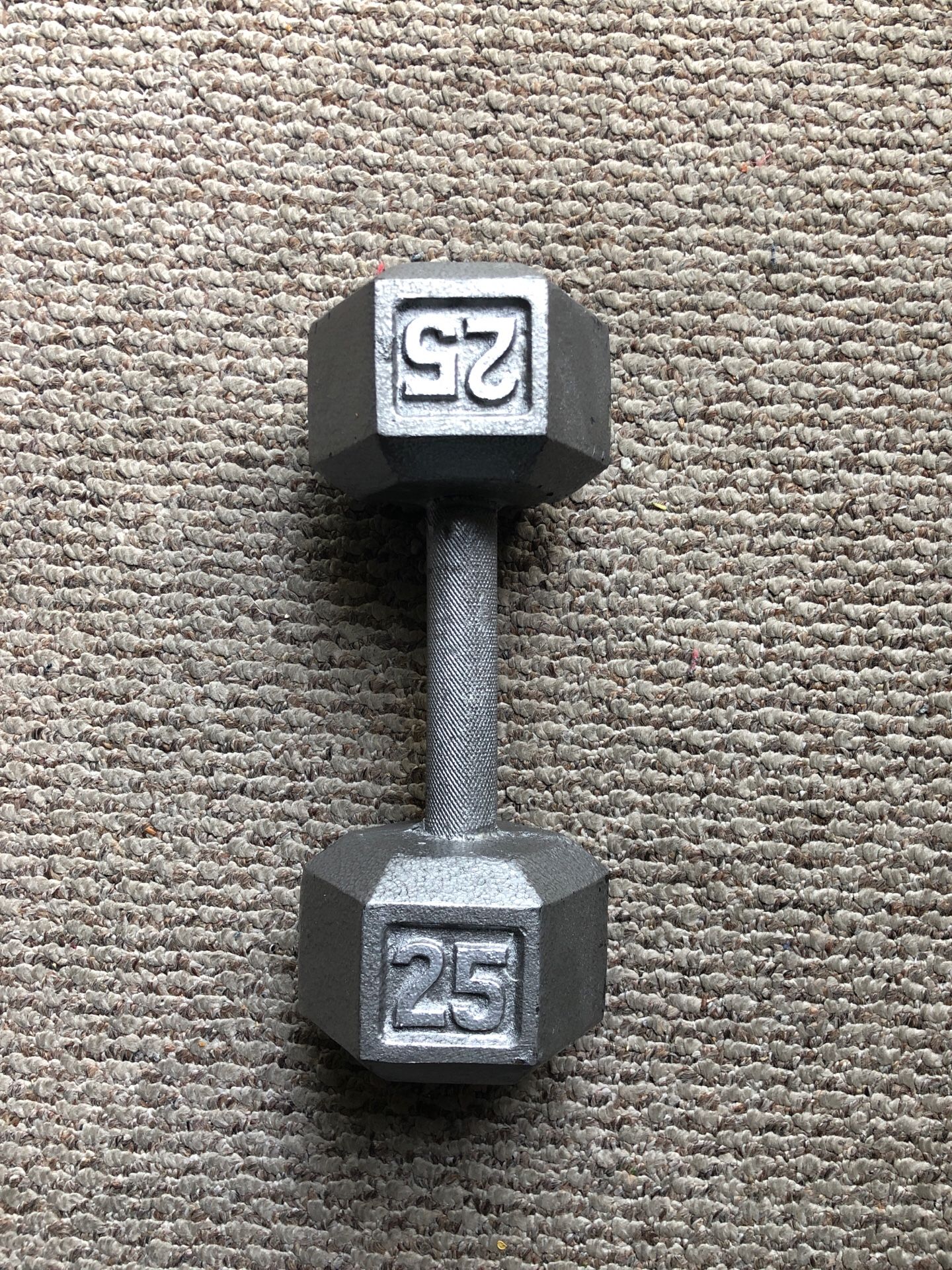 Dumbbell 25 lb