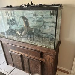 50 Gallon Long fish Tank With Brand New Light, 2 Canister Filters And Much More 