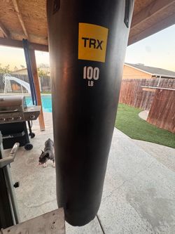 100lb punching bag