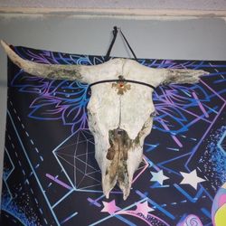 Bull Skull 