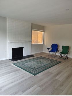 Rug for living room
