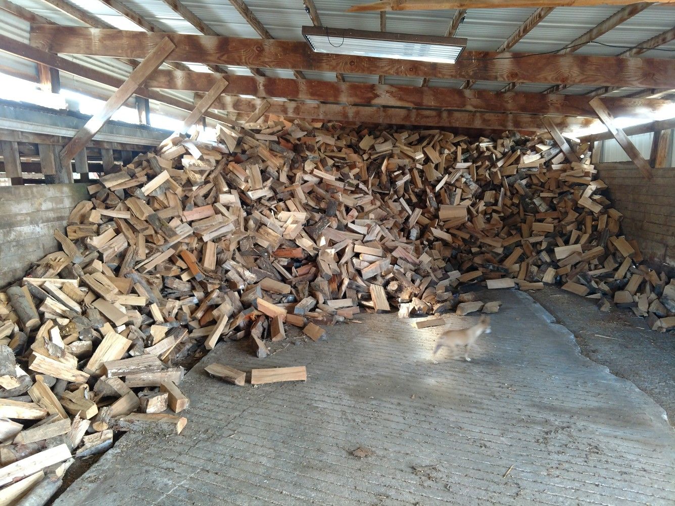 Seasoned firewood
