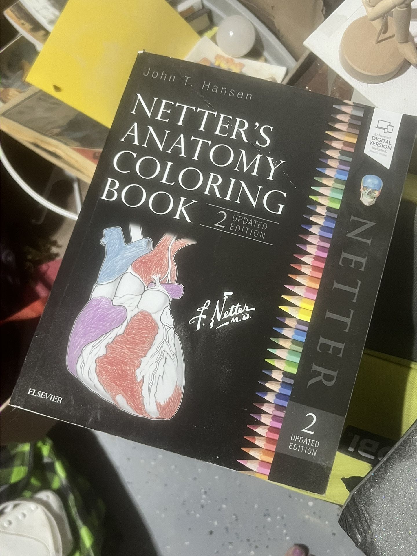 Anatomy bundle