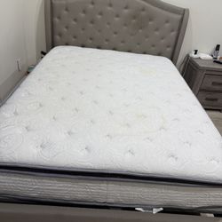 Queen Size Bed With Mattress 