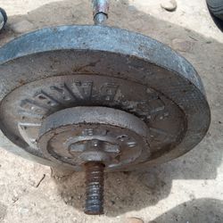 Weight Straight Bar And Weights Good 