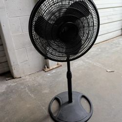 Indoor Fan