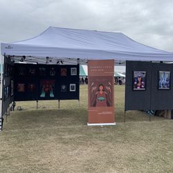 10x10 Pro Panels Art Display Setup – Dark Gray (Gently Used, Complete with Lighting)