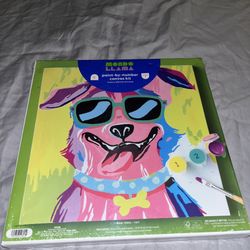 Mondo Llama paint by number canvas kit Dog Picture New B009