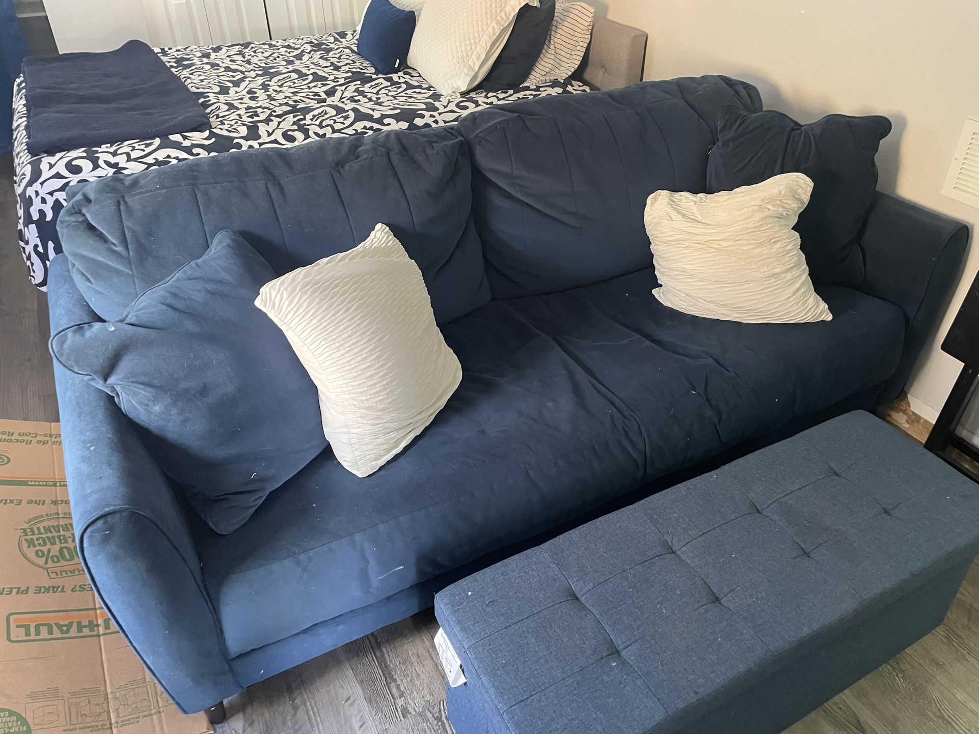 Couch and Loveseat
