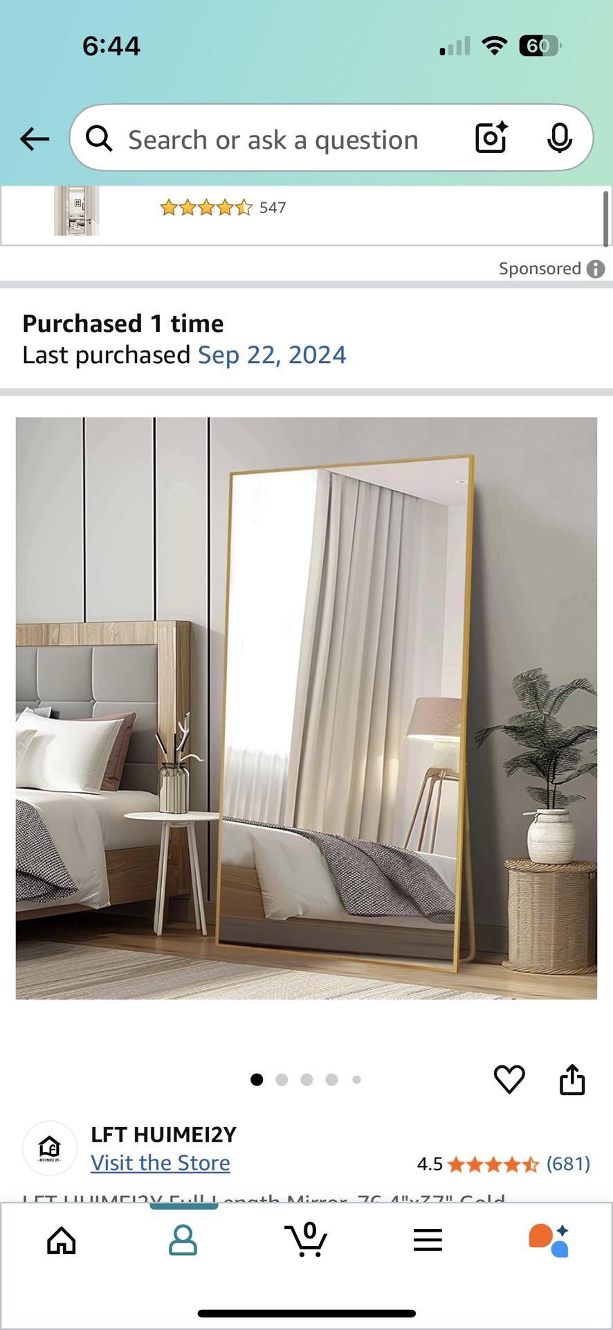 Full Body Mirror