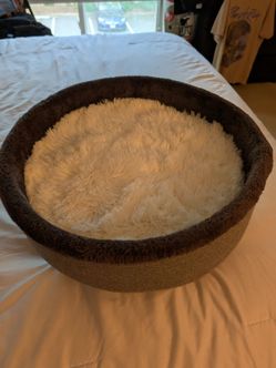 Cat Bed