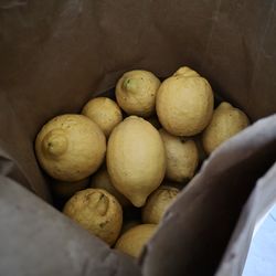 Fresh Picked Big Lemons