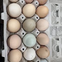 Farm Fresh Eggs