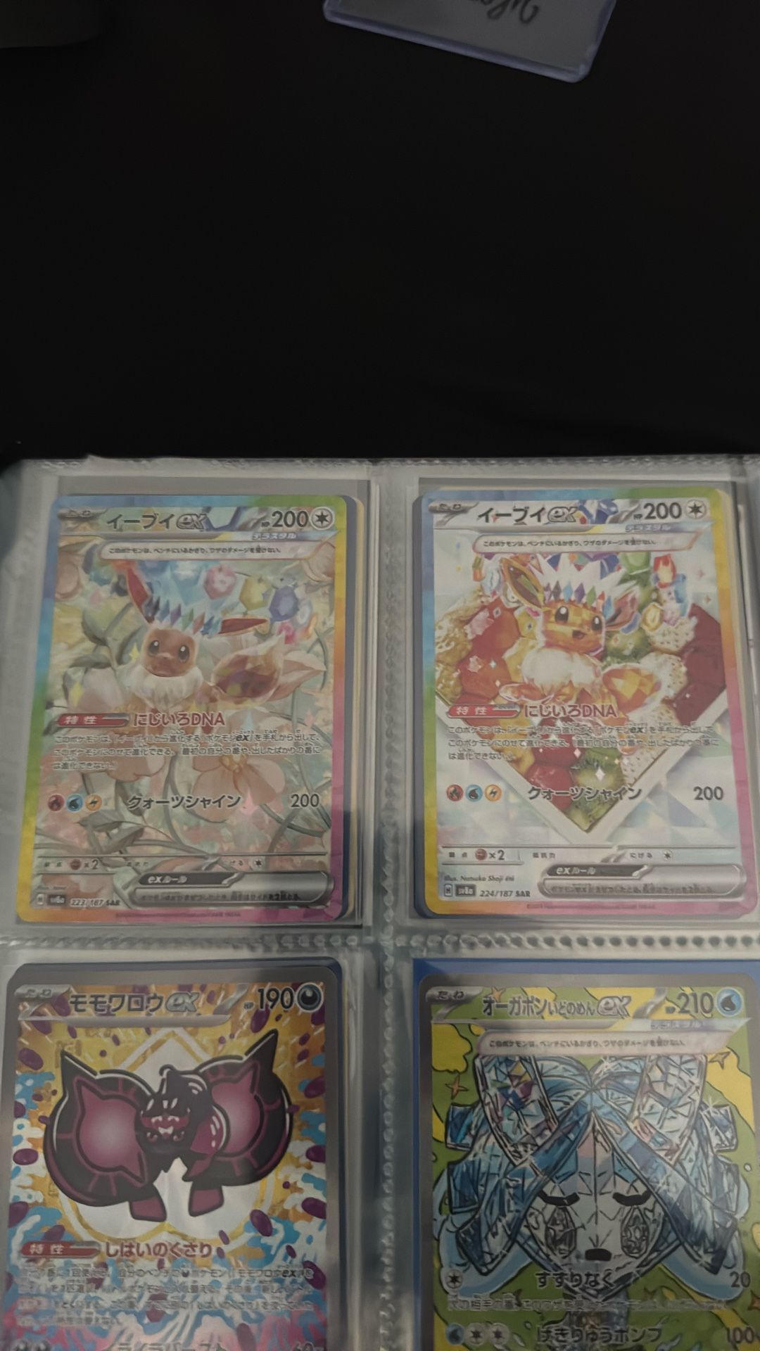 Both Eevee From Terastal Festival