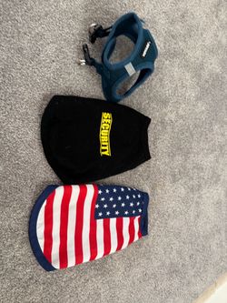 Dog clothes and harness