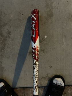 Cat X
