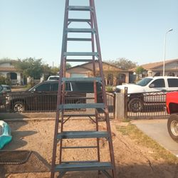 12 ft Ladder 