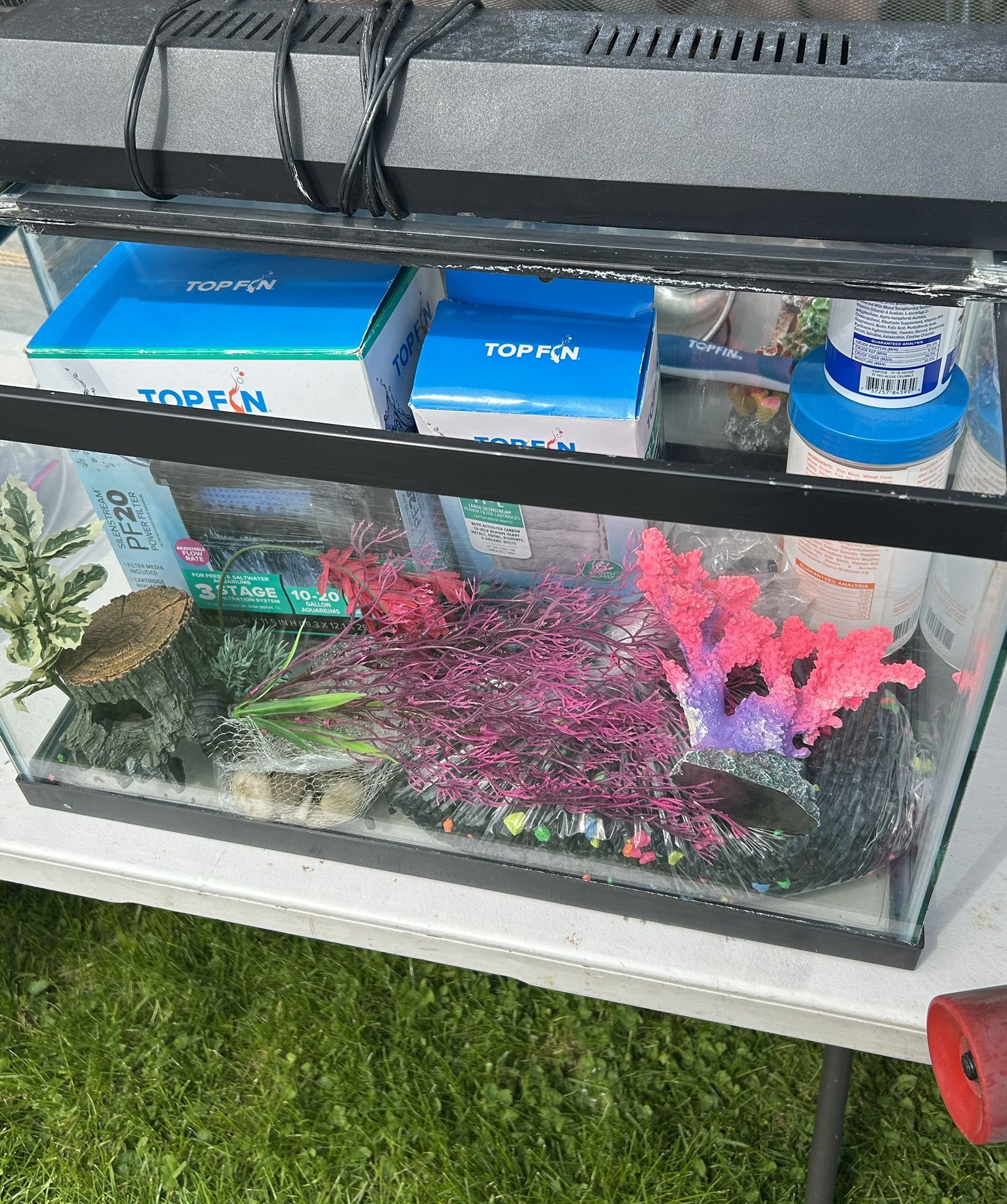 Fish Tanks