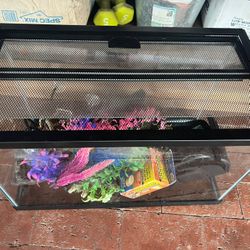 Fish Tank 10 Gallon 