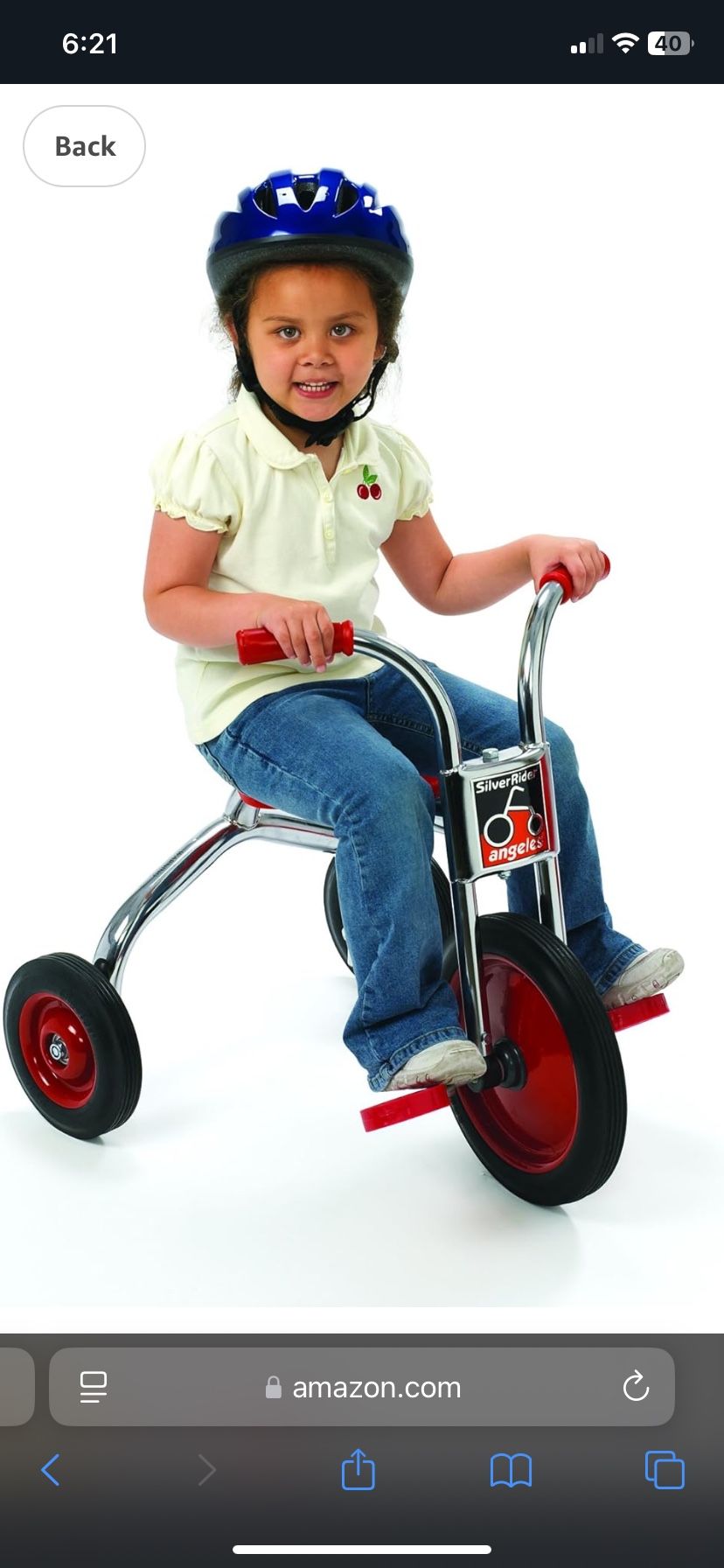12 Inch Silver Rider Trik