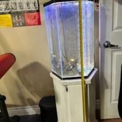 Fish Tank And Stand Only. No Fish. Nothing Inside. 