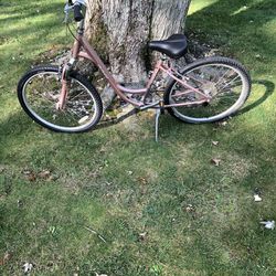 26” Specialized Mountain Bike (step Over)