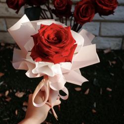 Fresh Red Rose Bouquet