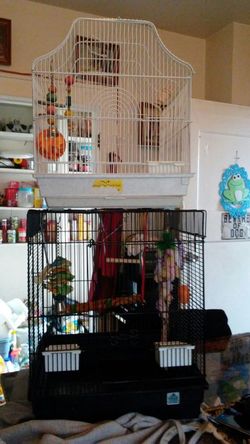 Special on bird cages hurry for that low.