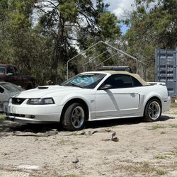 2003 Ford Mustang