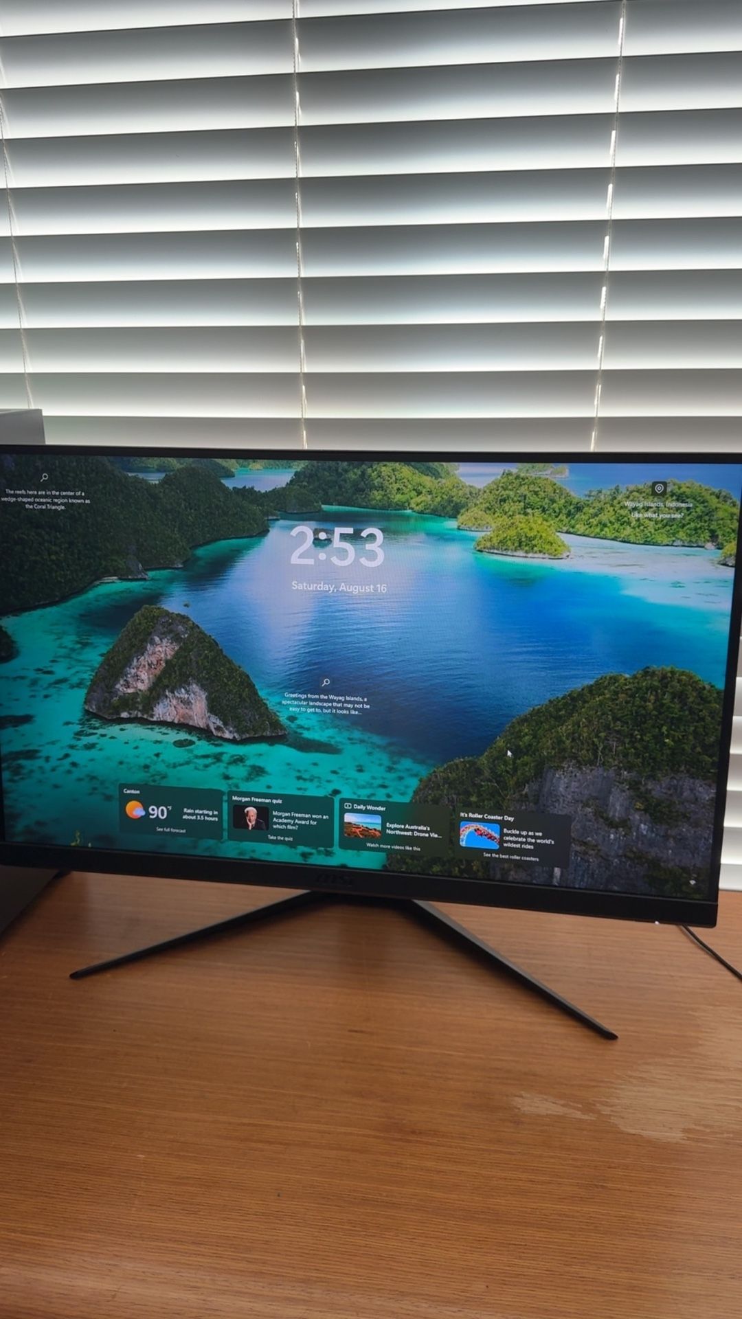 MSI Optix G2412 24" Class Full HD Gaming LCD Monitor, 16:9, Black