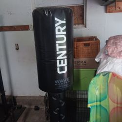 Stand Up Punching Bag