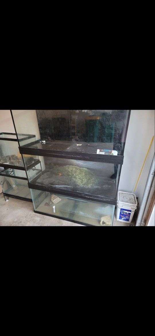 40 Gallon Aquarium Fish Tank
