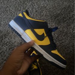 Nike Dunk Low Michigan(2021)
