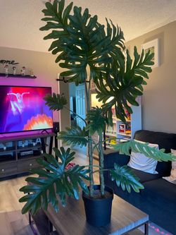 Artificial plant 🪴