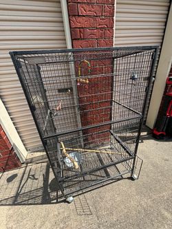 Parrot cage