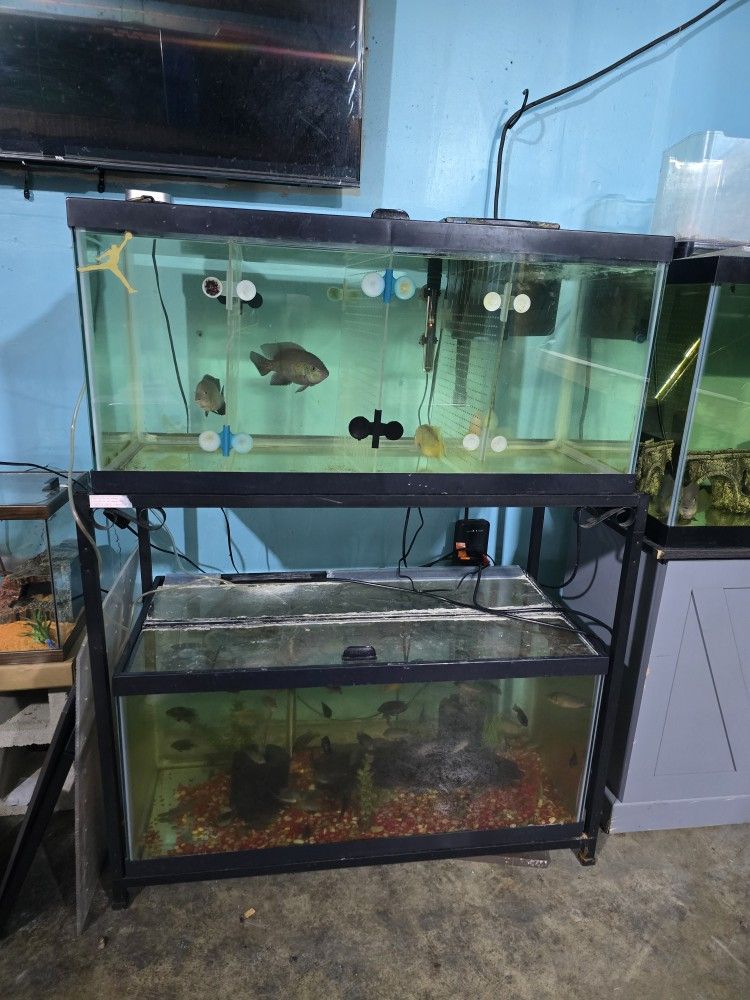 Fish Tank Supplies