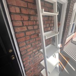 Ladder Shelf