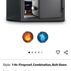 Sentry safe