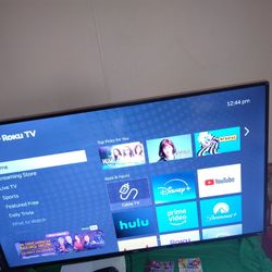 On 55 Roku Tv