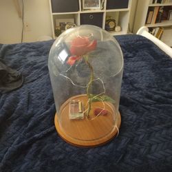 Beauty and the Beast Light Up Rose