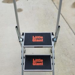 Little Giant Folding Step Ladder