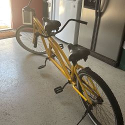 2 Person Beach Cruiser