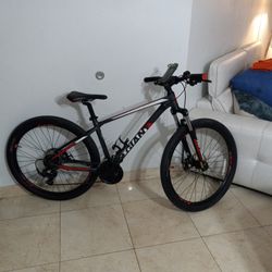 GIANT   XTC 26" Wheels