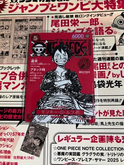Monkey D Luffy Magazine promo