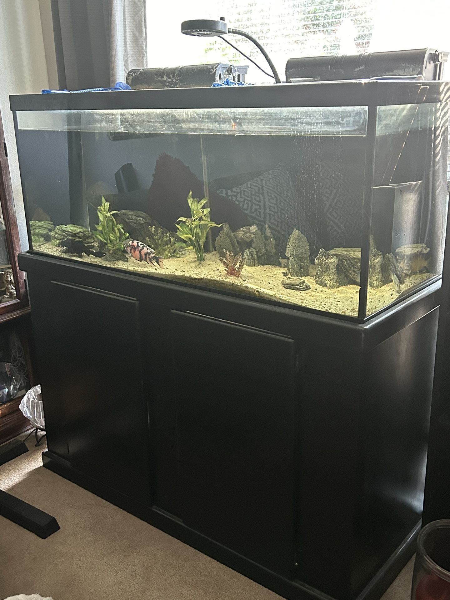 Fresh Water Aquarium 80gallons . It Is About 50inches Long Height Is51inches And Width Is21inches