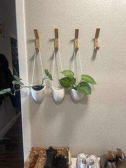 Set of 3 hanging wall planters.