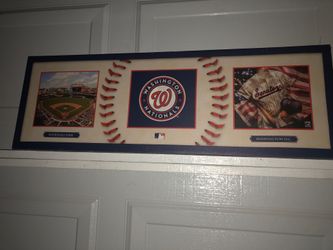 Washington nationals picture