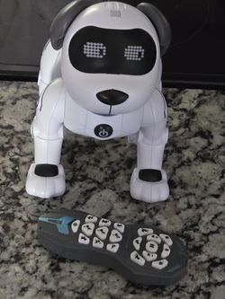 Robot Dog